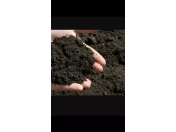 Topsoil