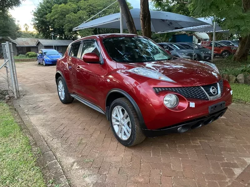 Nissan Juke 2013