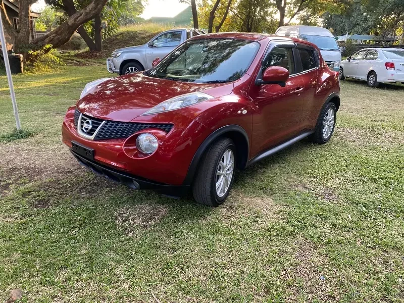 Nissan Juke 2013