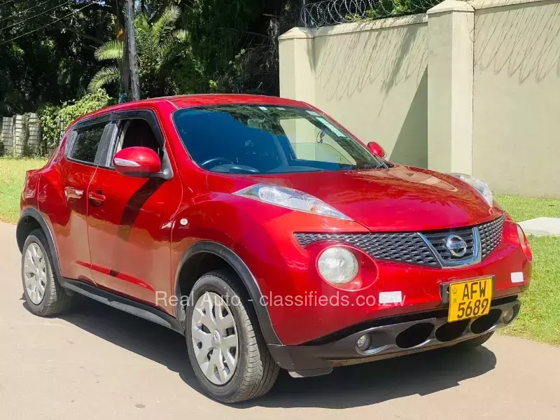 Nissan Juke 2013