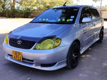 Toyota RunX