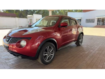 Nissan Juke 2013