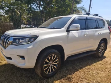 Toyota Land Cruiser 2019