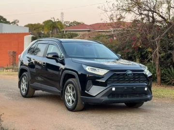 Toyota Rav4 2019