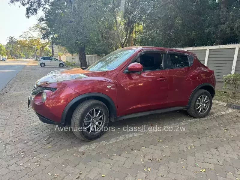 Nissan Juke 2013