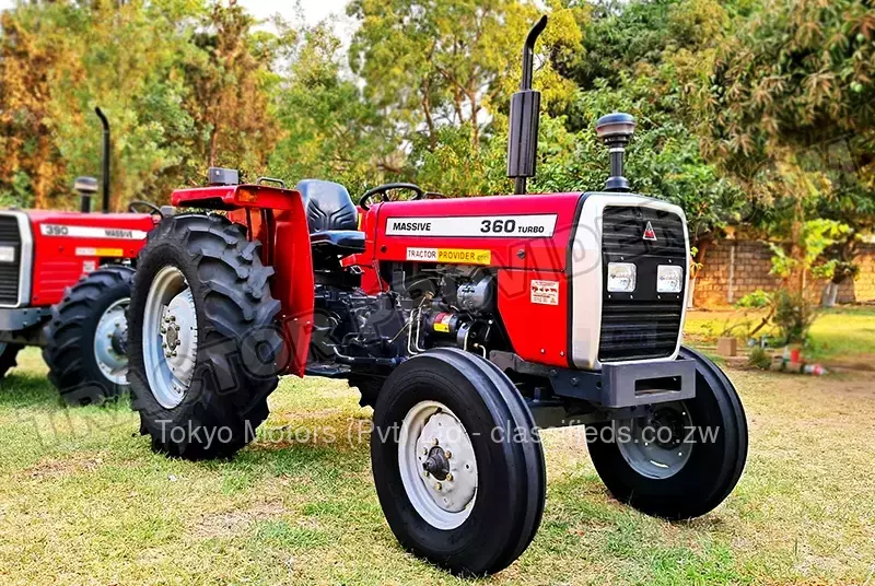 Massive MF 360 2024