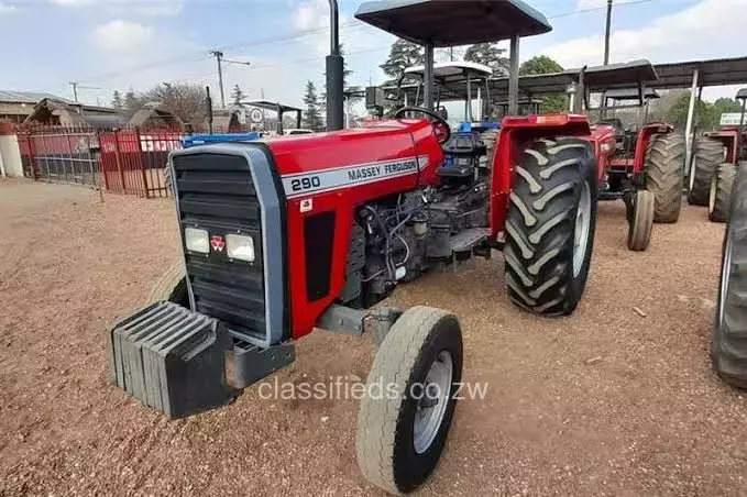 Massey ferguson MF 290 2019