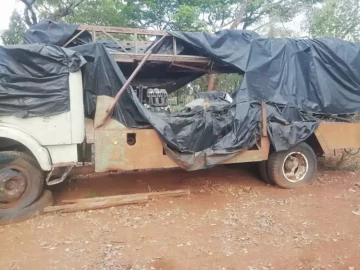 Borehole rig