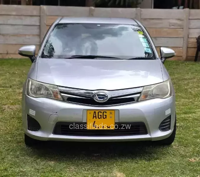 Toyota Axio 2013