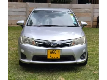 Toyota Axio 2013