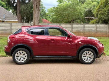 Nissan Juke 2013