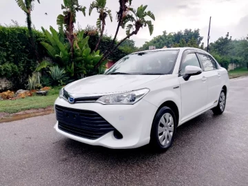 Toyota Axio 2019